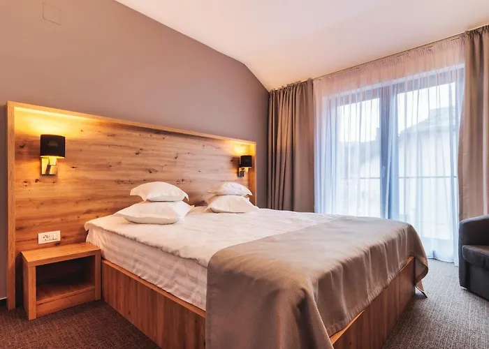 Hotel Domnitei